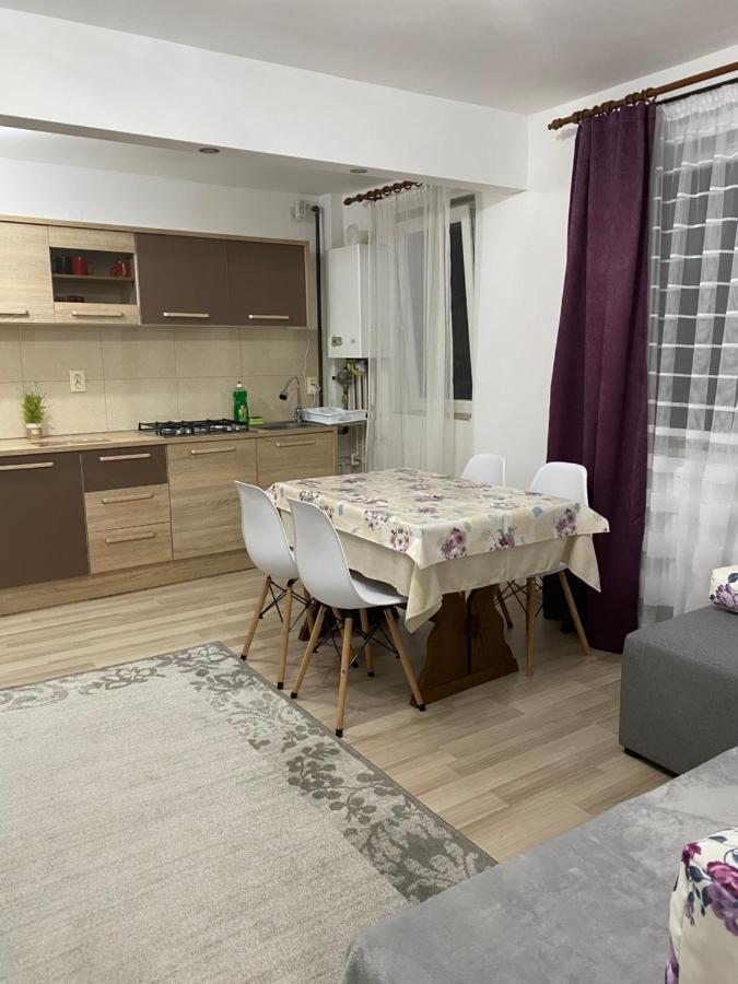 5 Residence Apartment Cavnic Extérieur photo